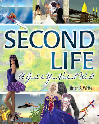 Book cover for Second Life