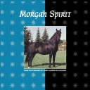 Book cover for Morgan Spirit Pb