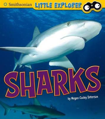 Book cover for Sharks (Little Scientist)