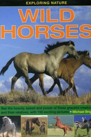 Cover of Exploring Nature: Wild Horses