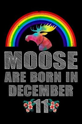 Book cover for Moose Are Born In December 11