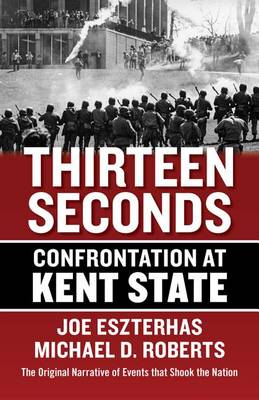Book cover for Thirteen Seconds