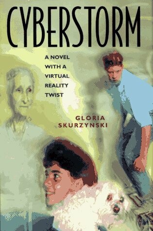 Cover of Cyberstorm