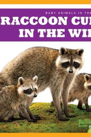 Cover of Raccoon Cubs in the Wild