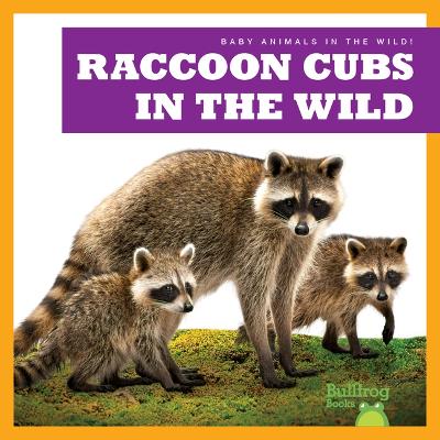 Cover of Raccoon Cubs in the Wild