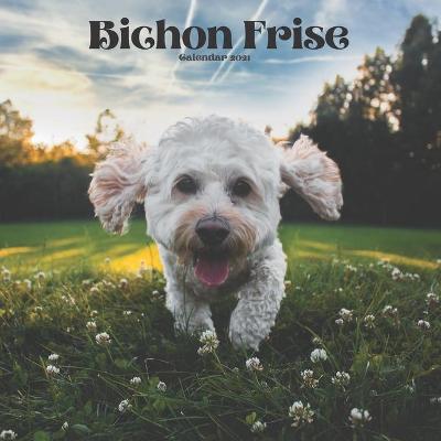 Book cover for Bichon Frise Calendar 2021