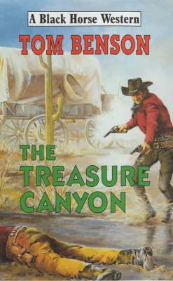 Book cover for The Treasure Canyon