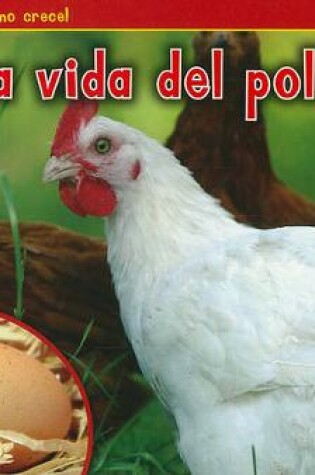 Cover of La Vida del Pollo