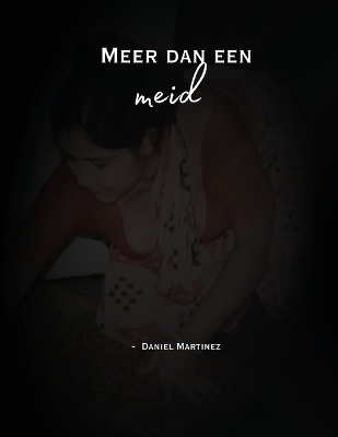 Book cover for Meer dan een meid