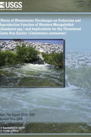 Cover of Effects of Wastewater Discharges on Endocrine and Reproductive Function of Western Mosquitofish (Gambusia spp.) and Implications for the Threatened Santa Ana Sucker (Catostomus santaanae)