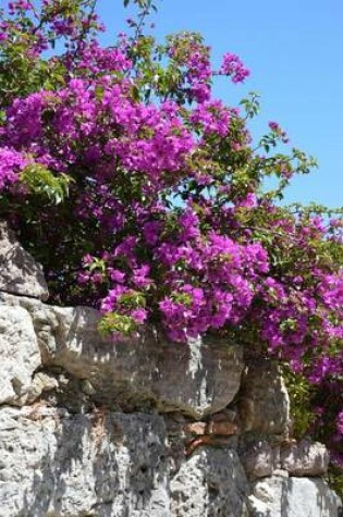 Cover of Bougainvillea on a Stone Wall Journal