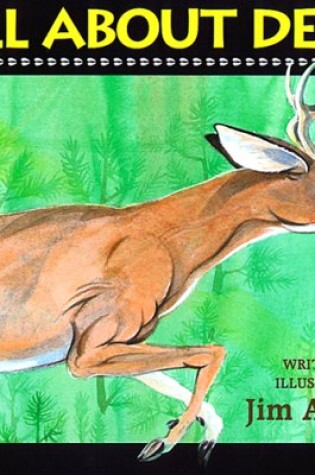 Cover of All about Deer