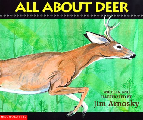 Book cover for All about Deer
