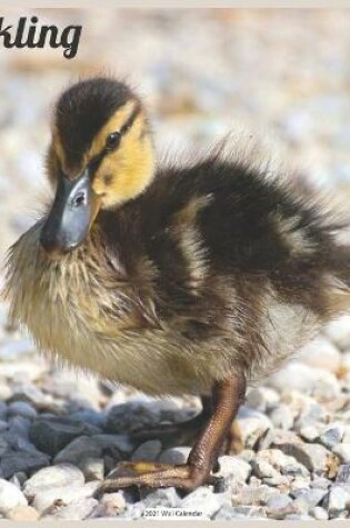 Cover of Duckling 2021 Wall Calendar