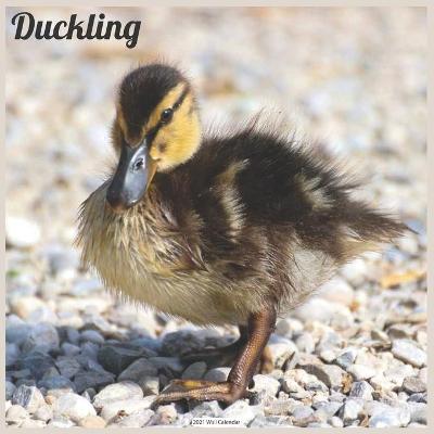 Book cover for Duckling 2021 Wall Calendar