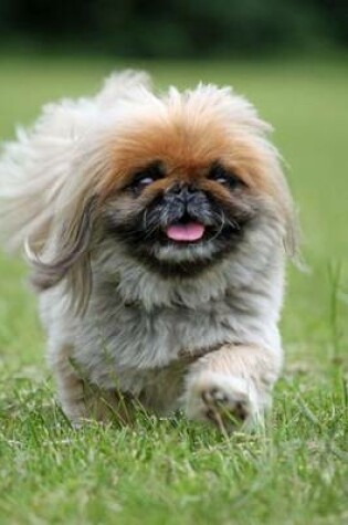 Cover of Happy to See You Pekingese, for the Love of Dogs