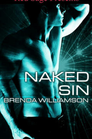 Cover of Naked Sin