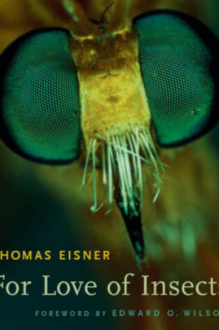 Cover of For Love of Insects