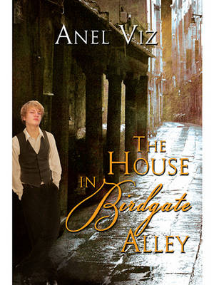 Book cover for The House in Birdgate Alley