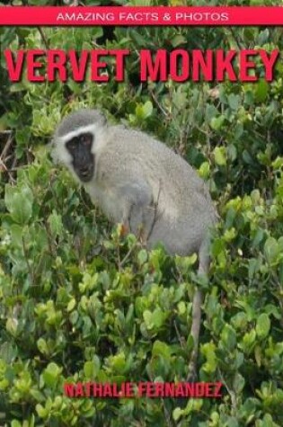 Cover of Vervet Monkey