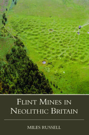 Cover of Neolithic Flint Mines in Britain