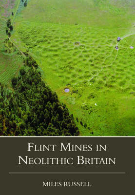 Book cover for Neolithic Flint Mines in Britain