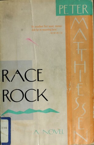 Book cover for Race Rock-V538
