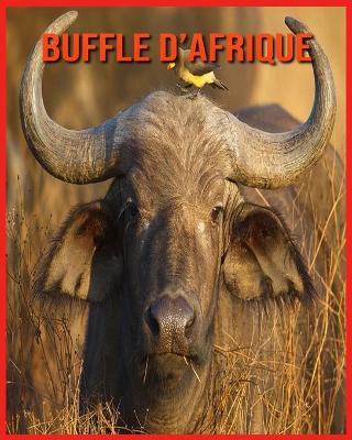 Book cover for Buffle d'Afrique