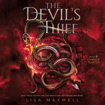 Book cover for The Devil's Thief