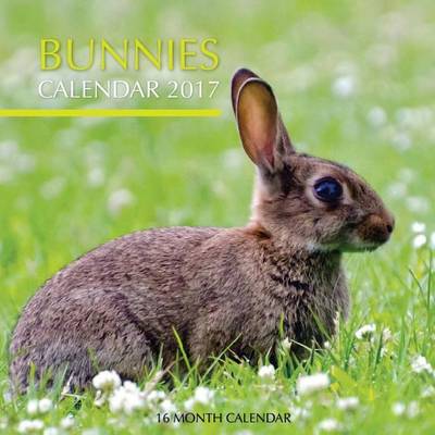 Book cover for Bunnies Calendar 2017