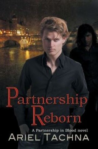 Cover of Partnership Reborn Volume 9