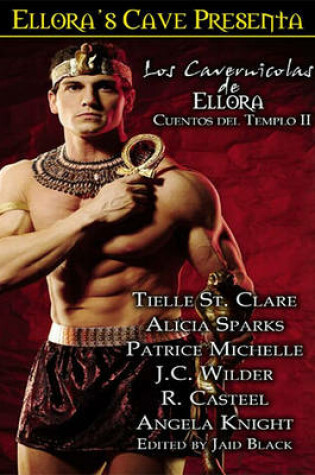 Cover of Los Cavernicolas de Ellora