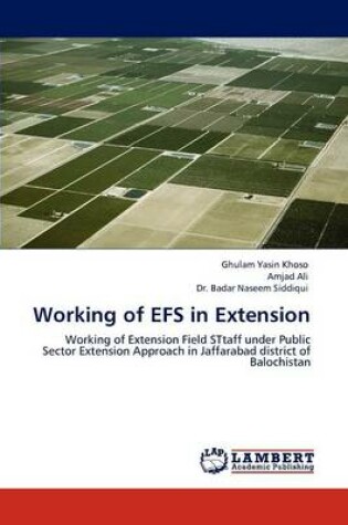 Cover of Working of Efs in Extension