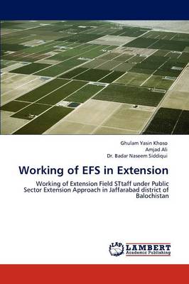 Book cover for Working of Efs in Extension