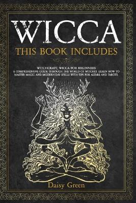 Book cover for Wicca