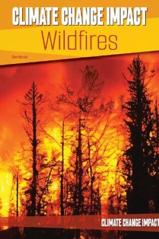 Cover of Wildfires