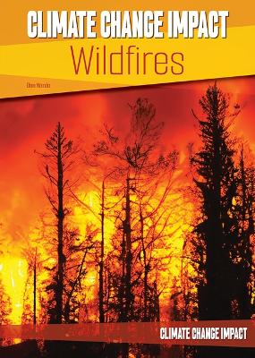 Cover of Wildfires