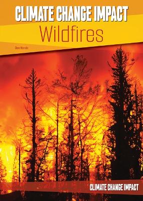 Book cover for Wildfires