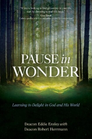 Cover of Pause in Wonder