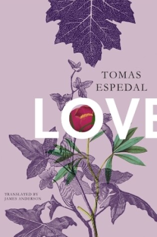 Cover of Love