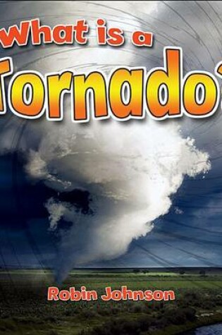 Cover of What Is a Tornado?
