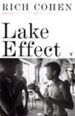 Book cover for Lake Effect