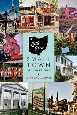 Book cover for Little Ohio