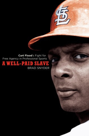 Book cover for A Well-Paid Slave