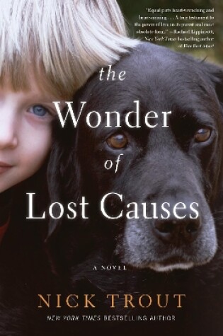 Cover of The Wonder of Lost Causes
