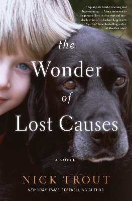 Book cover for The Wonder of Lost Causes