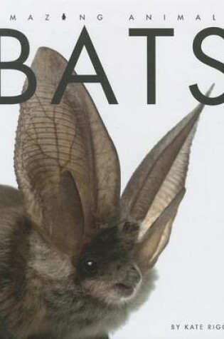 Cover of Bats