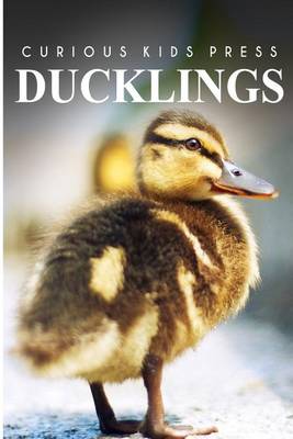 Book cover for Ducklings - Curious Kids Press