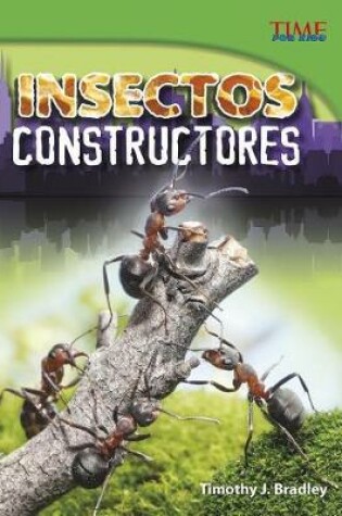 Cover of Insectos Constructores