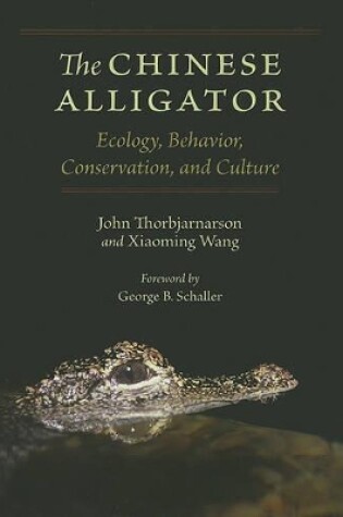 Cover of The Chinese Alligator